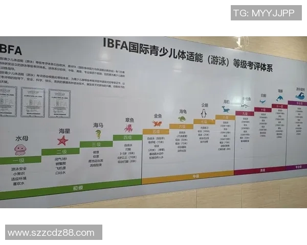 科学化自由泳训练计划助力提高游泳技巧与竞技水平